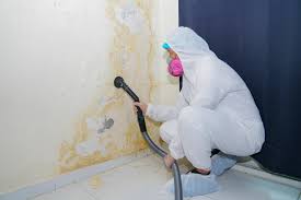 Mold Removal for HVAC Installations in Rose Hills, CA